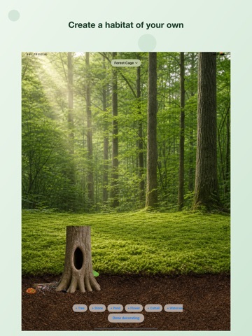 My Bug Album iPad screenshot
