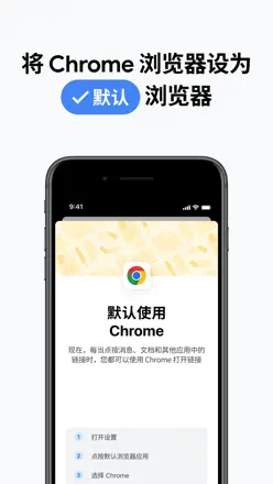 Google Chrome screenshot 10
