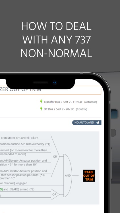 B737 MRG screenshot-3