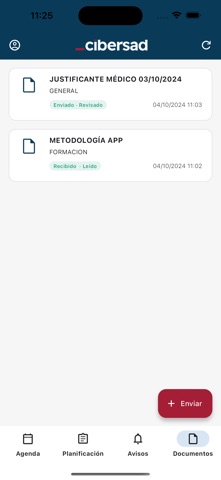 Cibersad Profesional screenshot