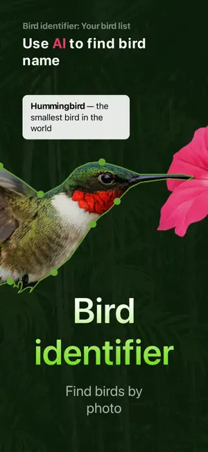 Ornitho - Bird Identifier screenshot 1