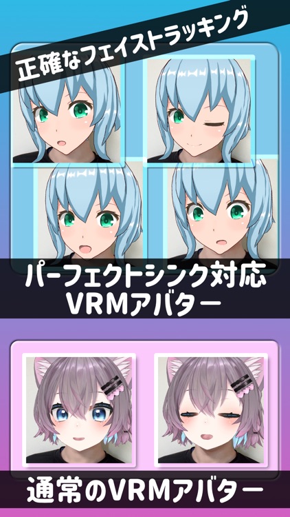 Virtual Face