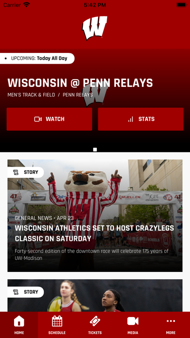 Wisconsin Badgers Screenshot