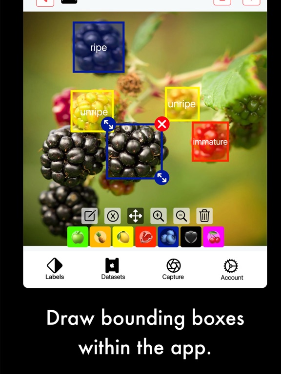 Screenshot #6 pour AI Capture: Create ML Datasets