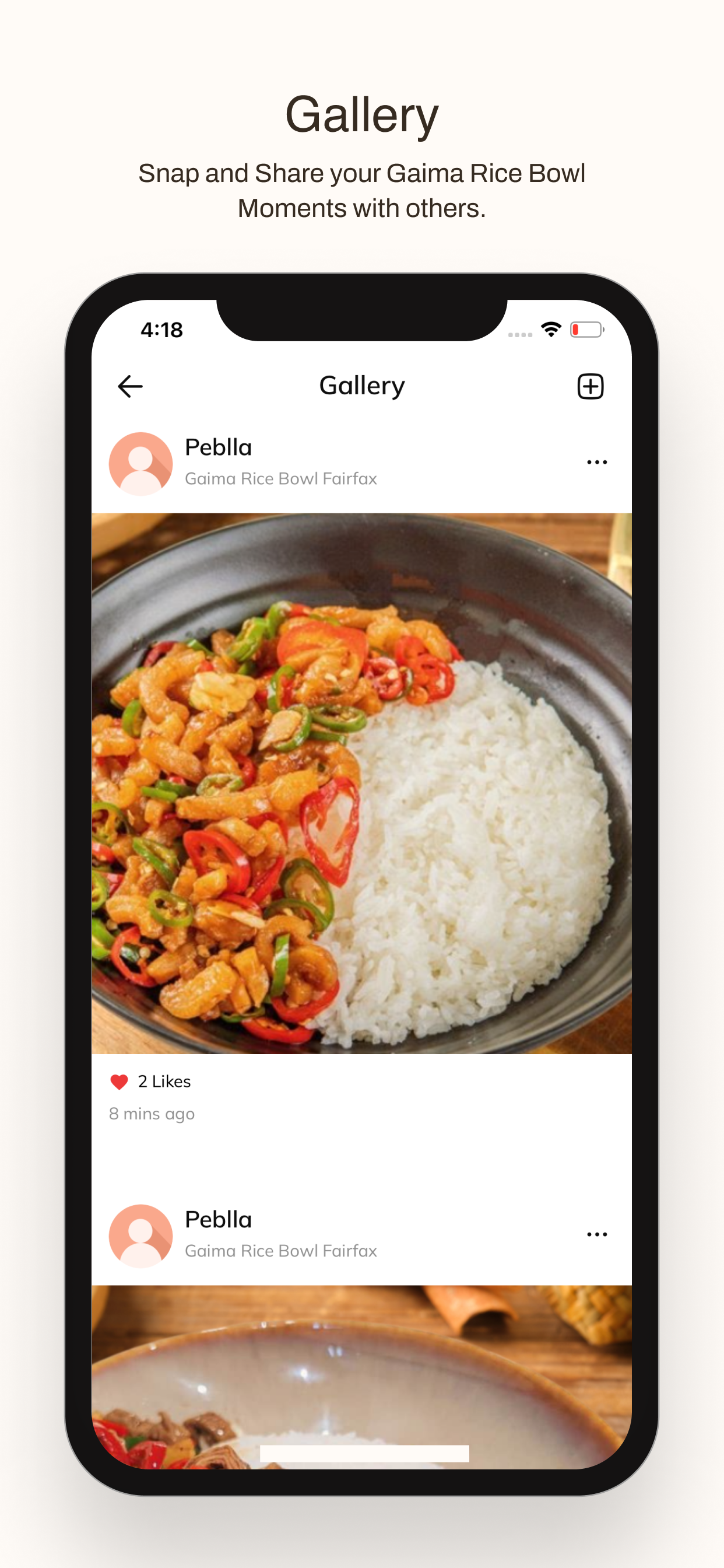 Gaima Rice Bowl screenshot 4