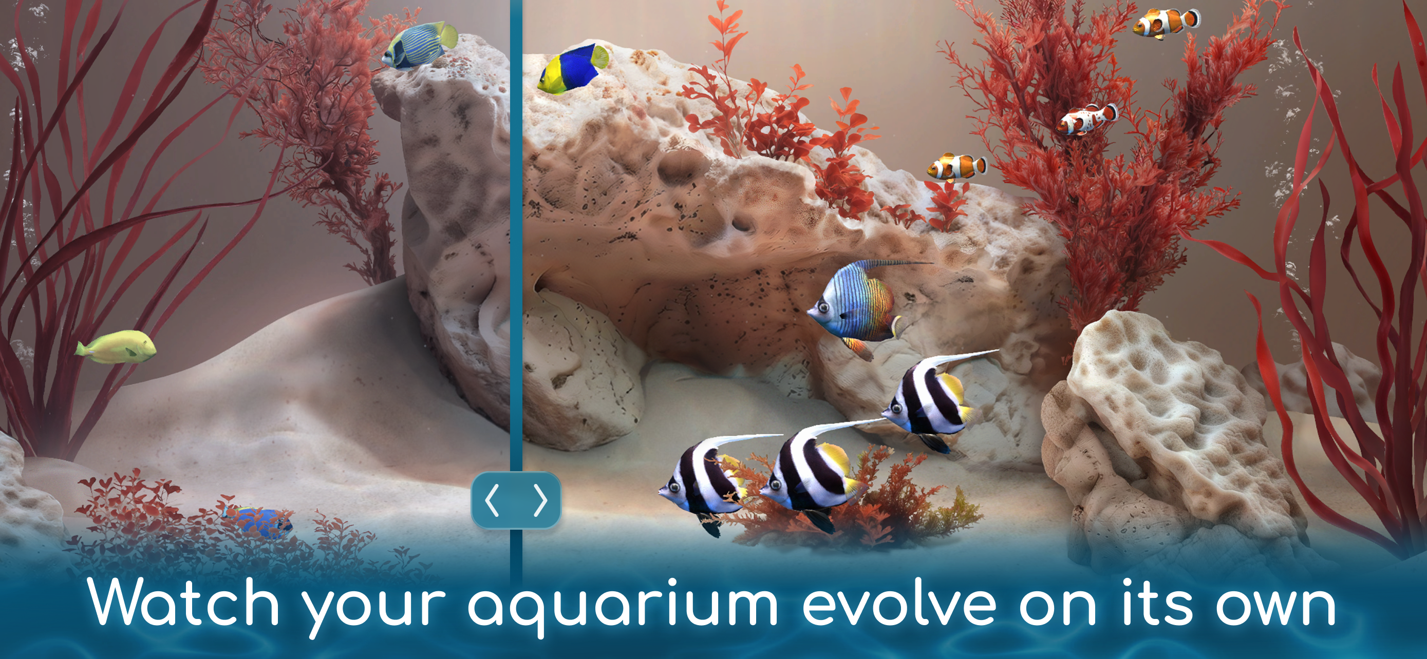 Drift: ASMR Aquarium screenshot 5