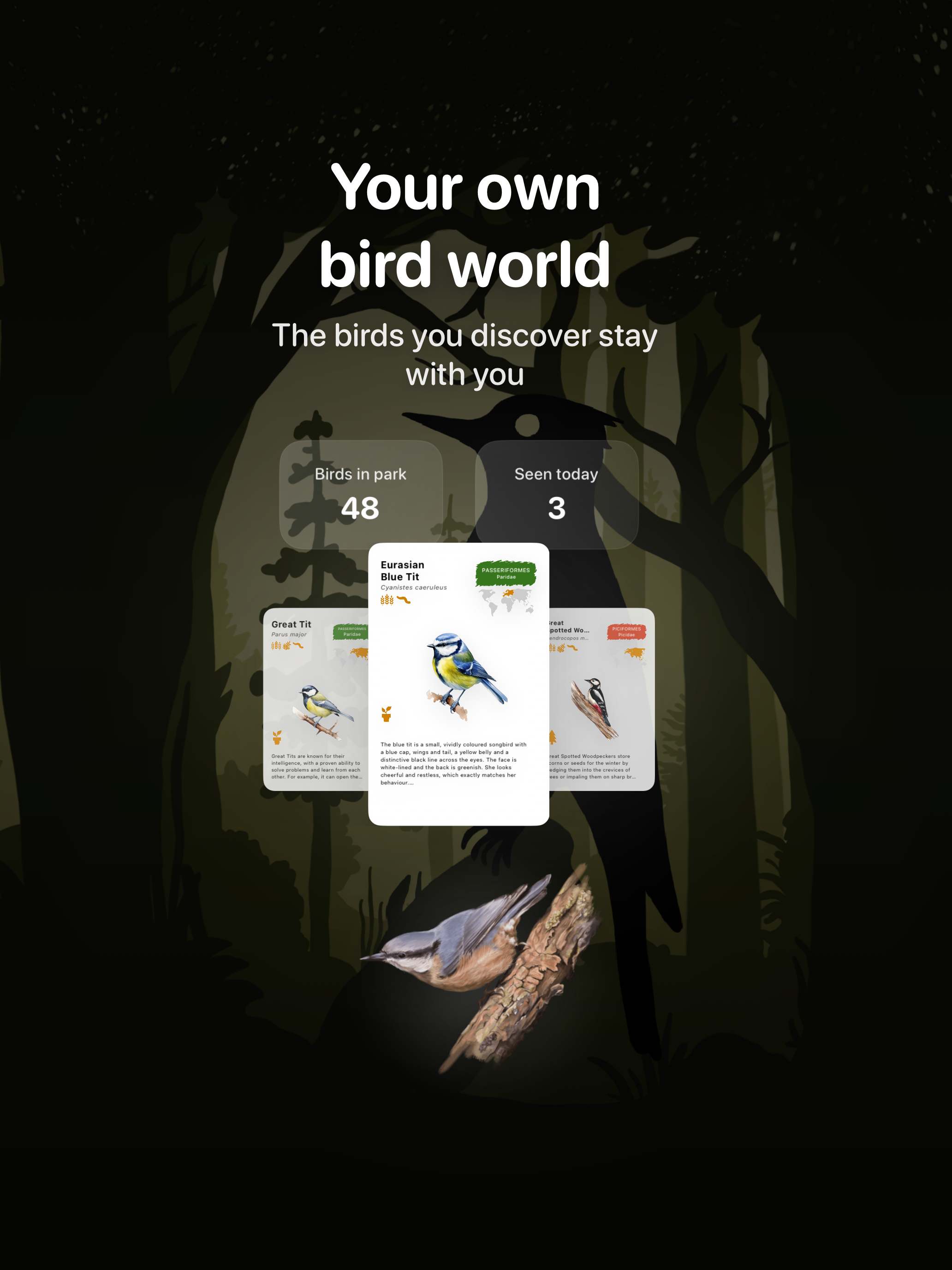 Birdora: Your Bird World
