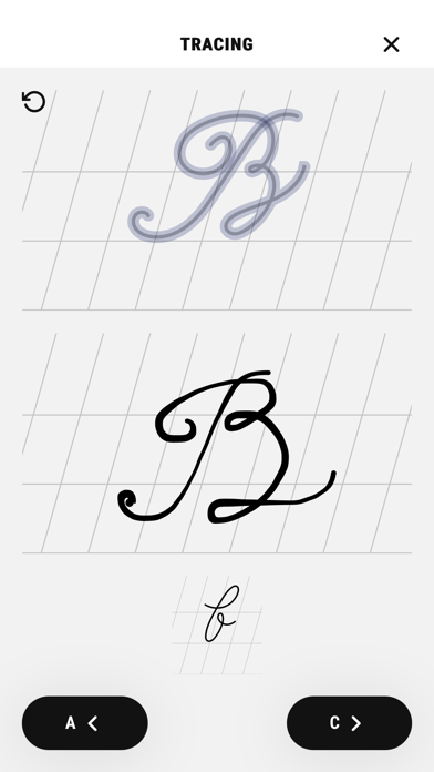 Calligraphy creations practice Screenshot