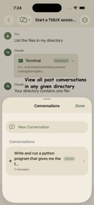 Unofficial Claude Code Client screenshot