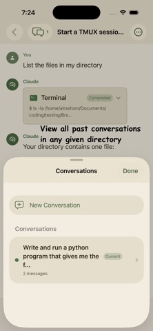Unofficial Claude Code Client screenshot