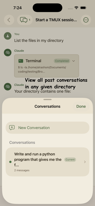 Unofficial Claude Code Client Screenshot 4 of 5