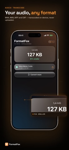 FormatFox: File Converter Screenshot 2 of 6