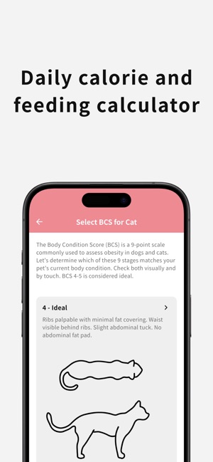Cat Nutrition Calculator: Optimize Your Feline's Diet