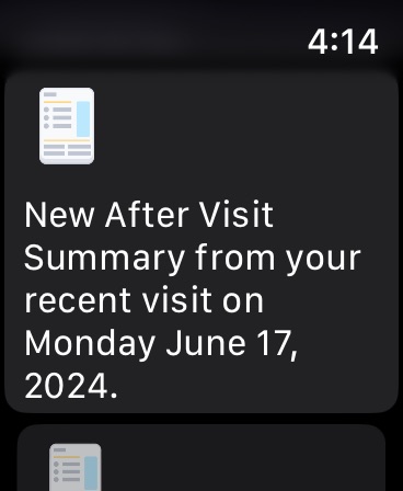 Apple Watch screenshot