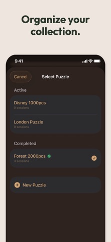 Puzzle Pace screenshot