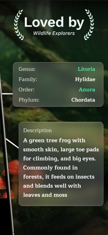Frog Identifier Snake Scanner Screenshot 2 of 5
