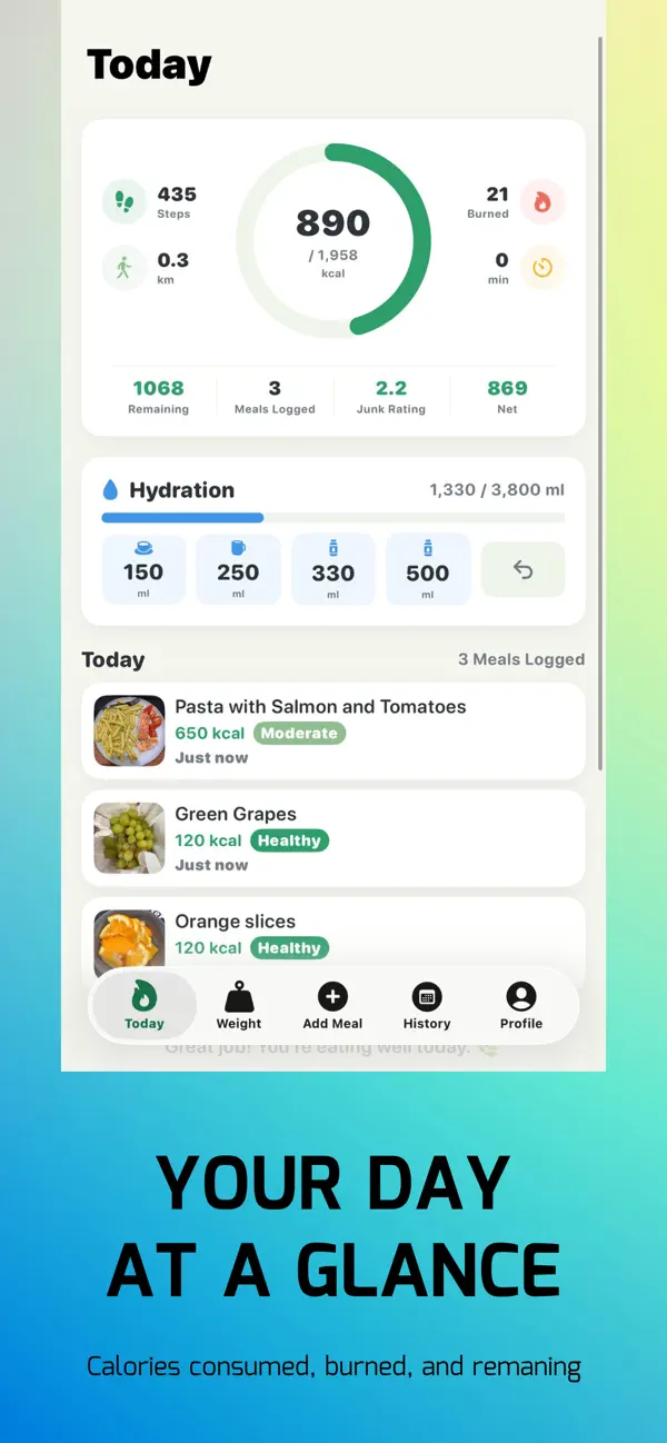 Screenshot #2 pour NoCalories