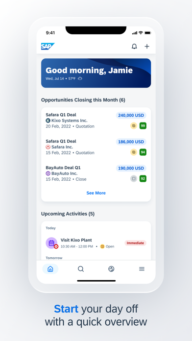 SAP Sales Cloud Screenshot