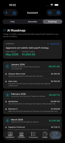 Triage: Debt Payoff & Budget iPhone screenshot