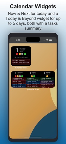 Calendar Pro+ iPhone screenshot