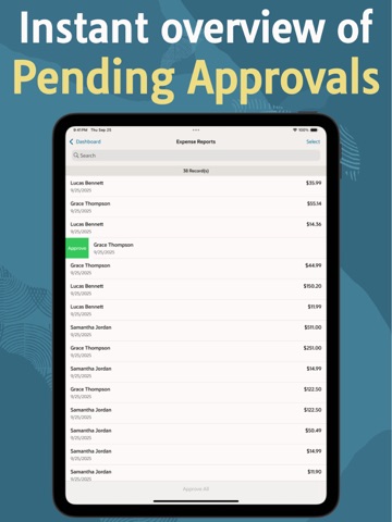 NetSuite iPad screenshot