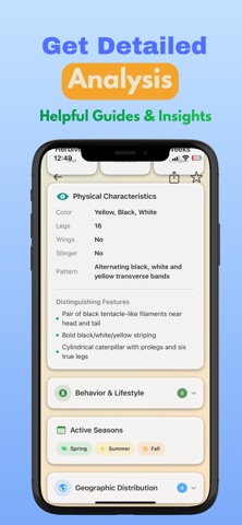Bug Identifier: BiteScan Screenshot 4 of 6