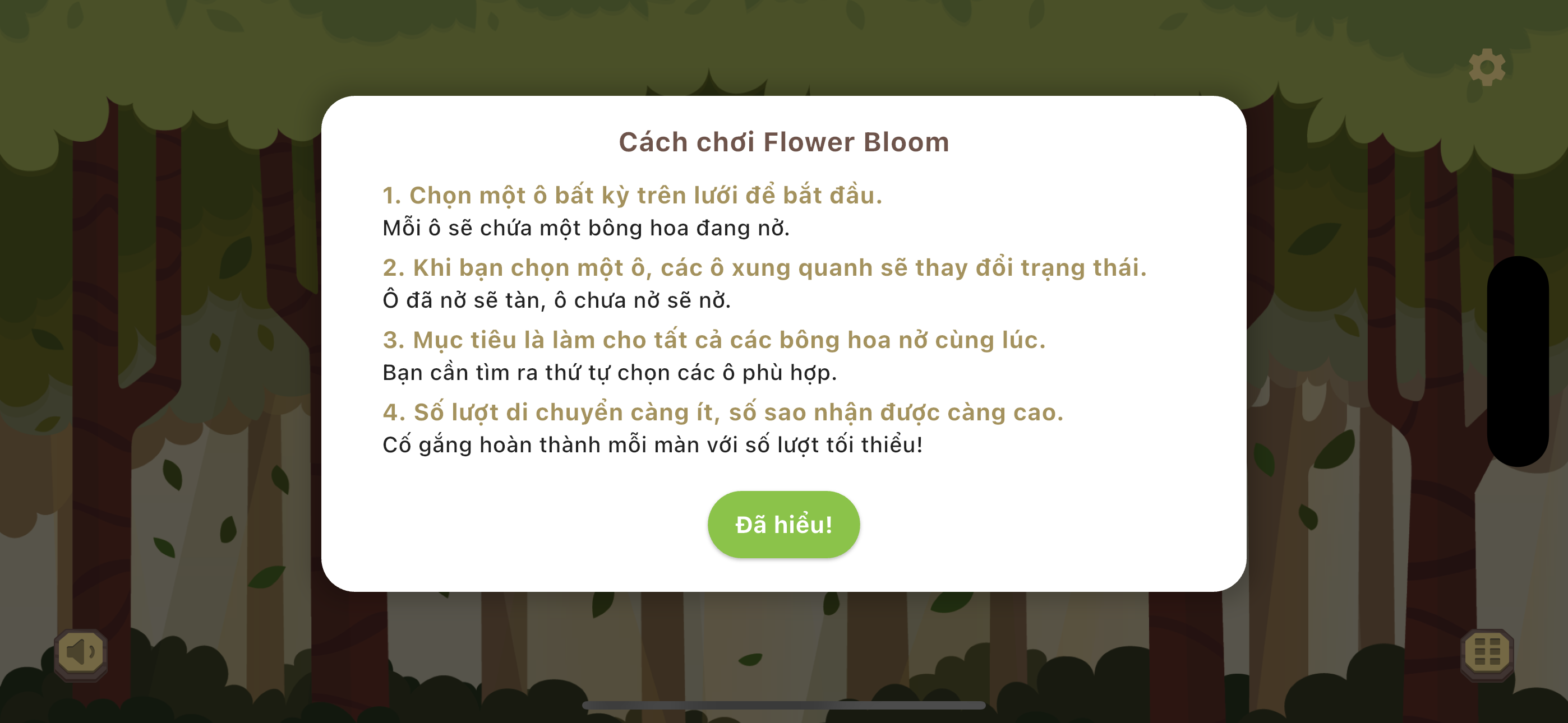 Flower Bloom