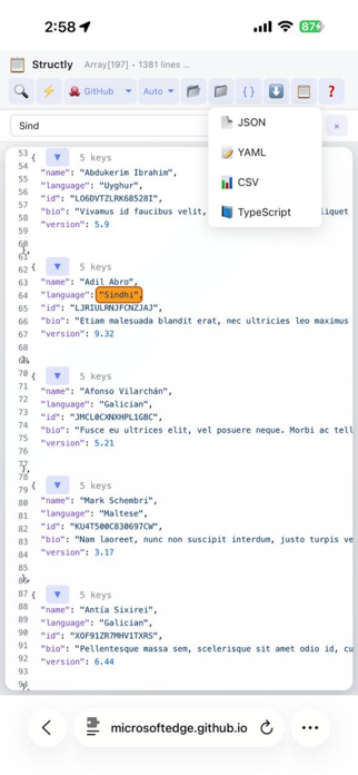 Structly - JSON Formatter Screenshot 5 of 5