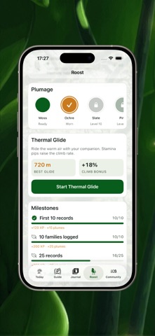 RioBirds Watch Screenshot 6 of 6