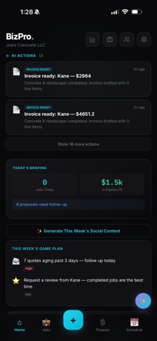 BizPro AI Screenshot 6 of 6