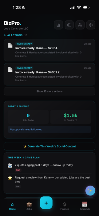 BizPro AI Screenshot 6 of 6