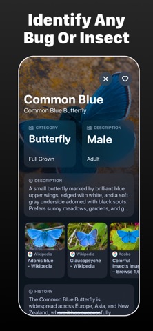 Insect Identifier・BugScan iPhone screenshot