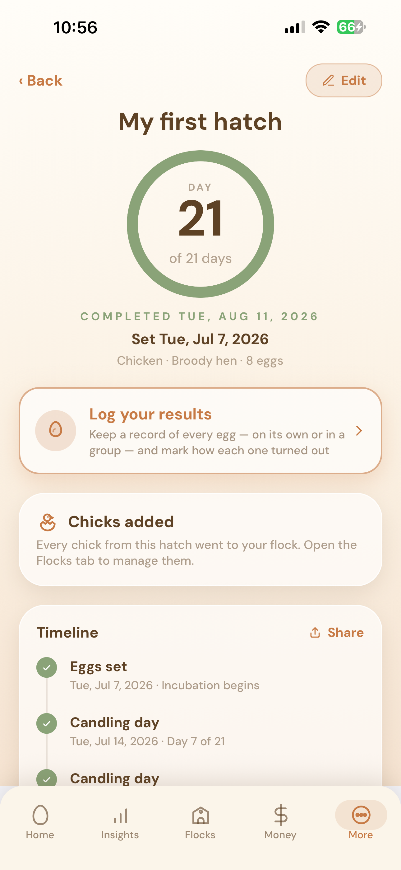 Superhen screenshot 4