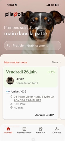 Pilepoils iPhone screenshot 2