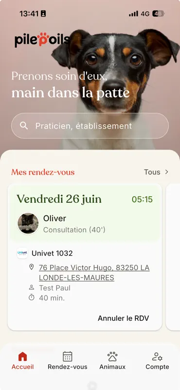 Pilepoils screenshot 2 of 7