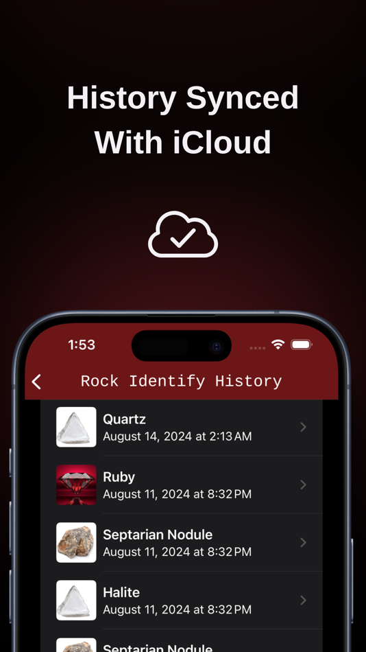 #5. Rock Identifier Stone ID (iOS) 由: Jose Luis Saorin Ferrer