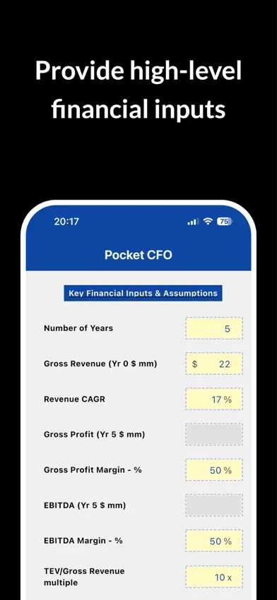 CFO in Your Pocket screenshot 1