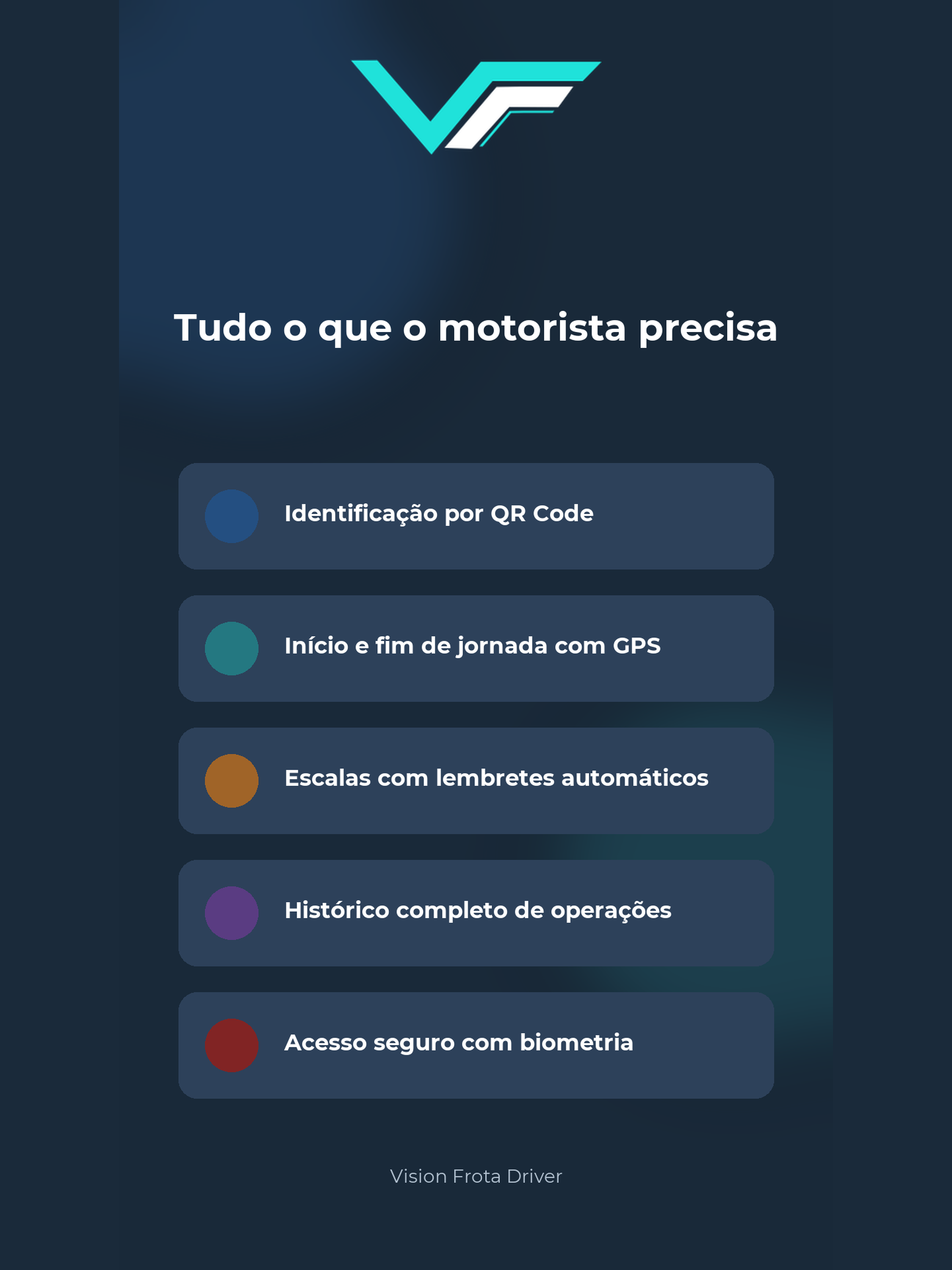 Vision Frota Driver