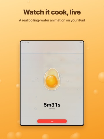 EggTimer Max: Egg Calculator iPad screenshot