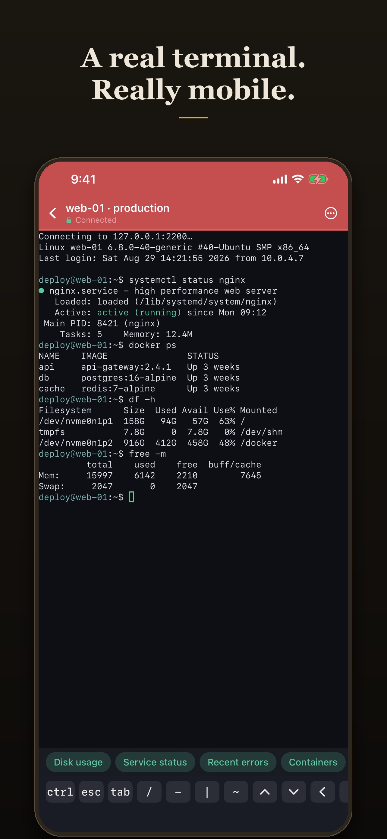 Screenshot 6 of Chapar SSH