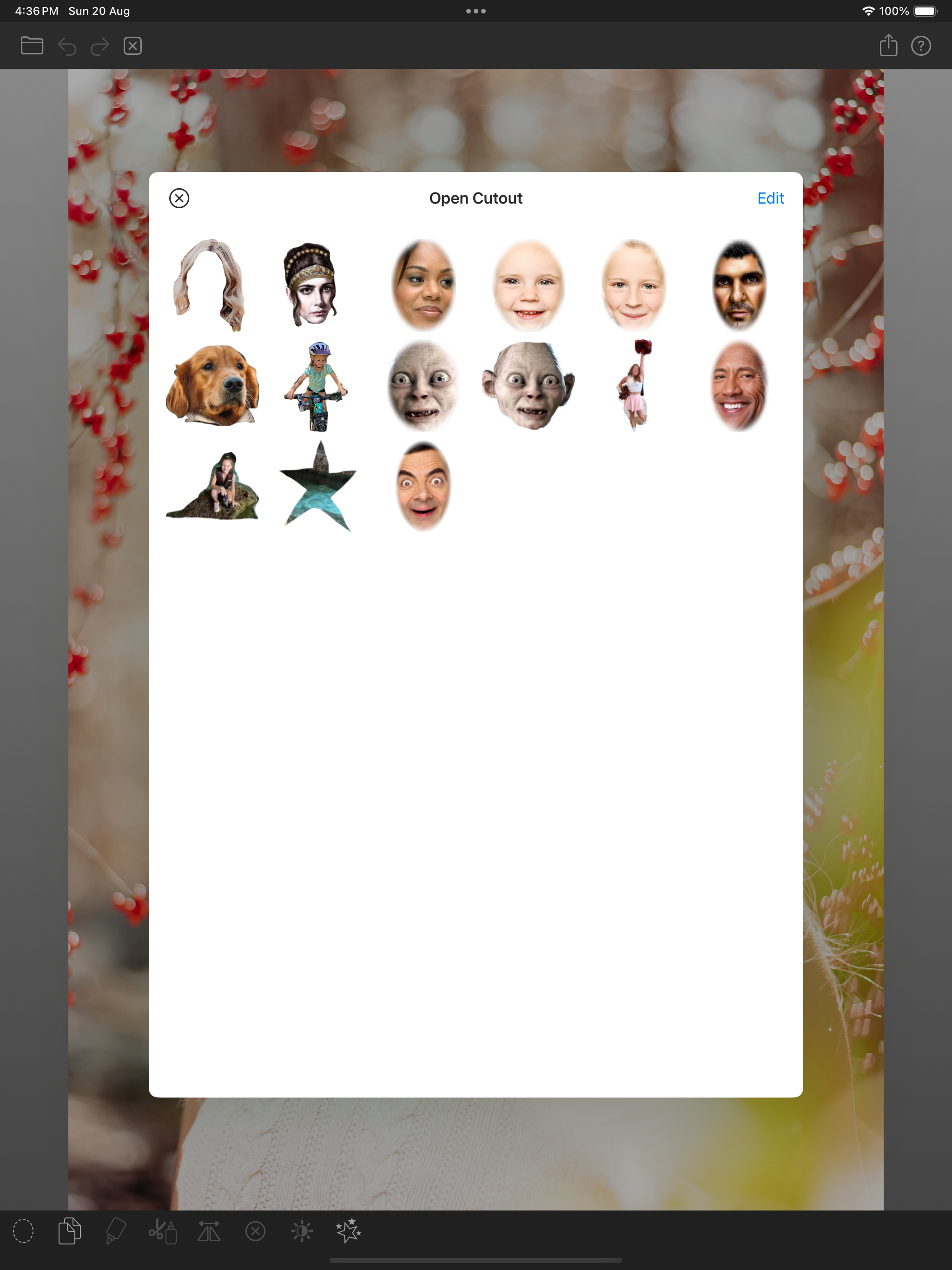 Facecopy: Intercambiar Caras