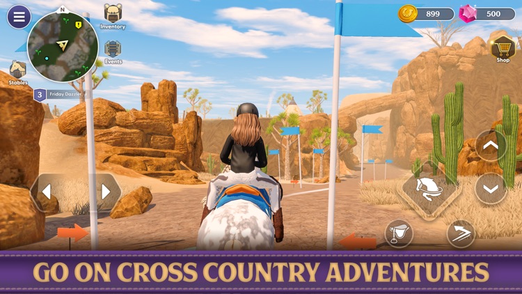 Star Equestrian - Horse Ranch screenshot-7
