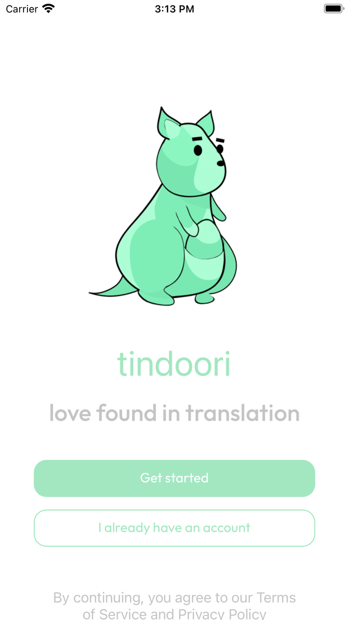 Tindoori
