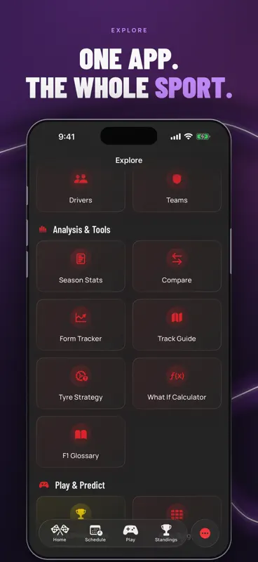 Purple Sector: F1 Widgets screenshot 9 of 9