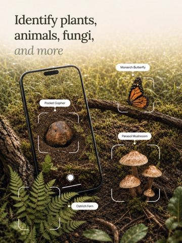 Fauna: Identify Wildlife iPad screenshot