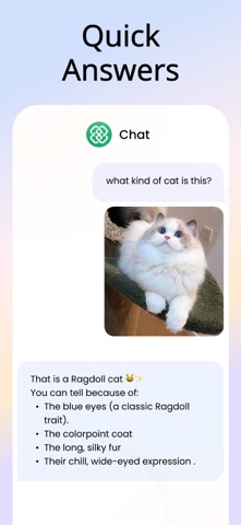 AI - Chat Bot : AI Assistant iPhone screenshot