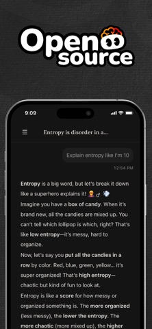 Ensu - Ente's Local LLM iPhone screenshot