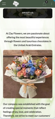 Zay Flowers screenshot