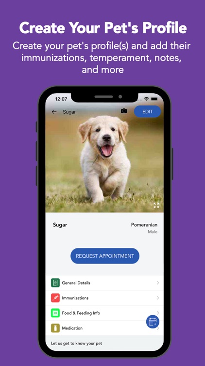 Wags ‘n’ Whiskers GA