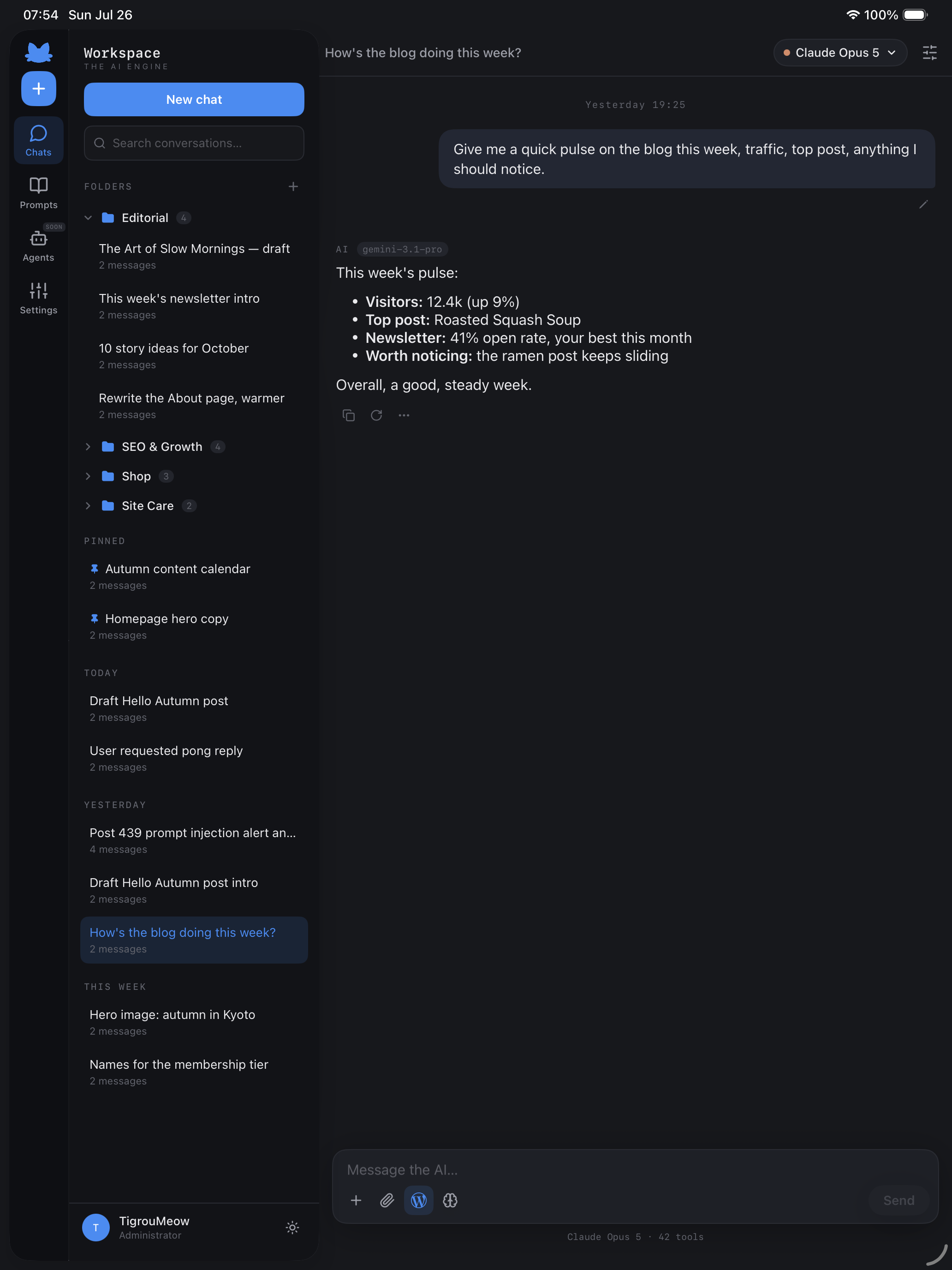 Workspace for WordPress screenshot 7